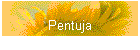 Pentuja