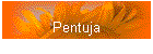 Pentuja