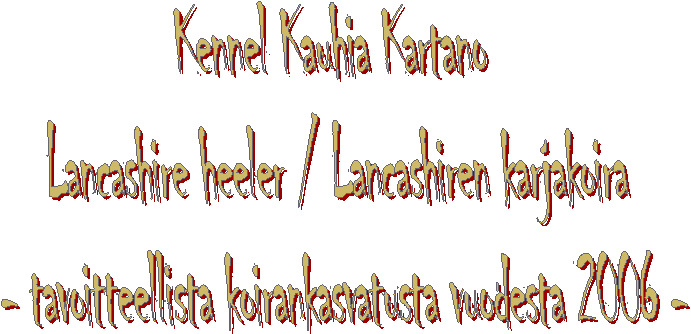 Kennel Kauhia Kartano
Lancashire heeler / Lancashiren karjakoira
- tavoitteellista koirankasvatusta vuodesta 2006 -
