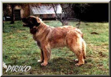 Evita 3/00